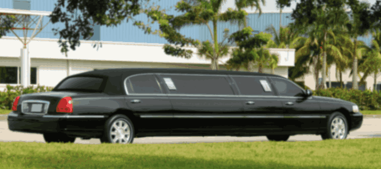 Limousine Cars - Limo Rentals