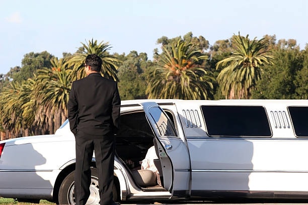 A group of elegantly dressed passengers enjoying a luxurious limo ride.